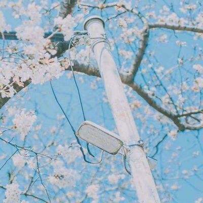 合兴奇典居家具萧广铎：臻品根基 宁曲不直